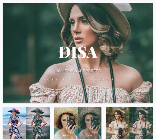 [Elements.Envato] Disa Lightroom Presets Dekstop a_0.jpg